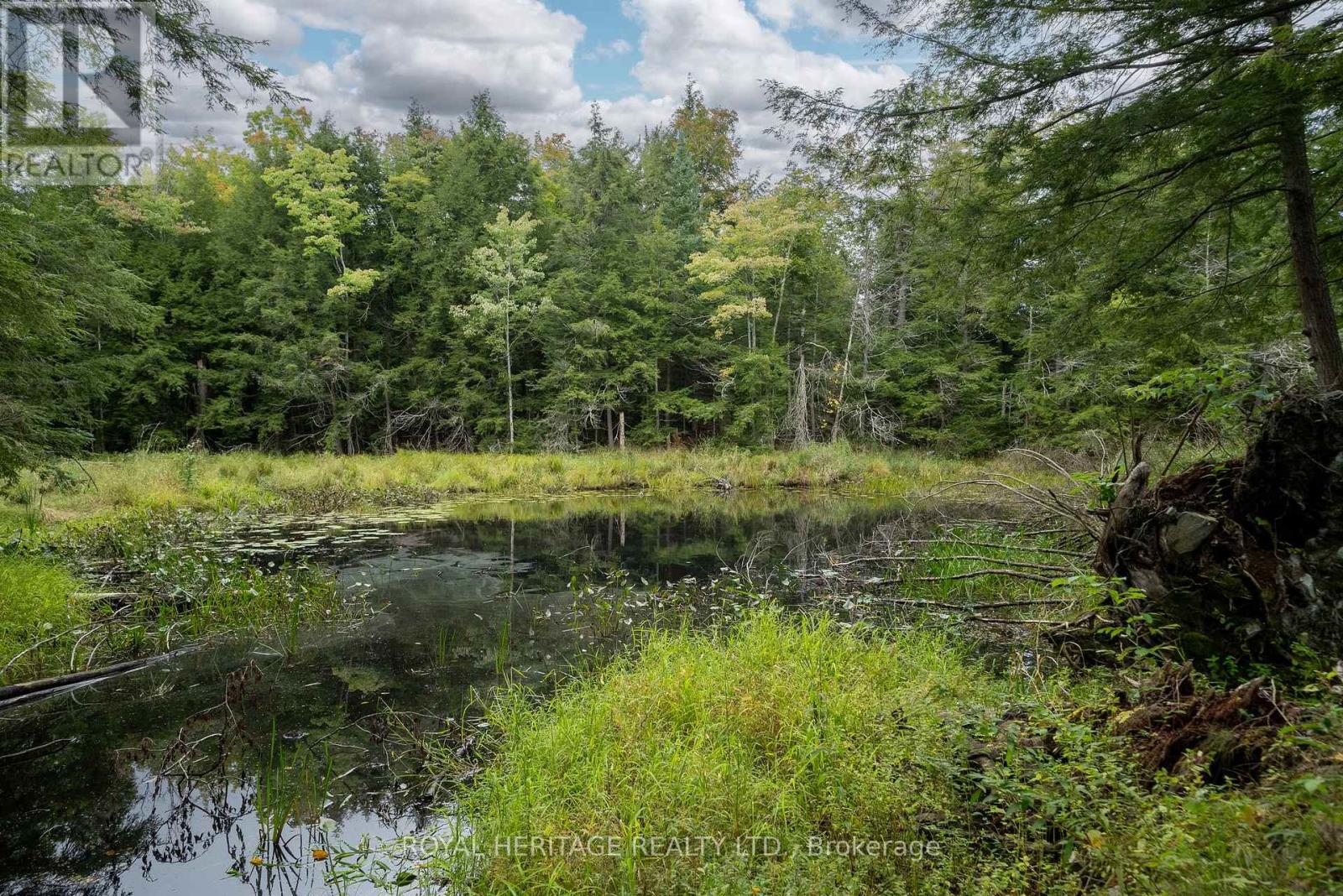 20195 62 Highway, Tudor And Cashel, Ontario  K0K 1Y0 - Photo 41 - X12809250