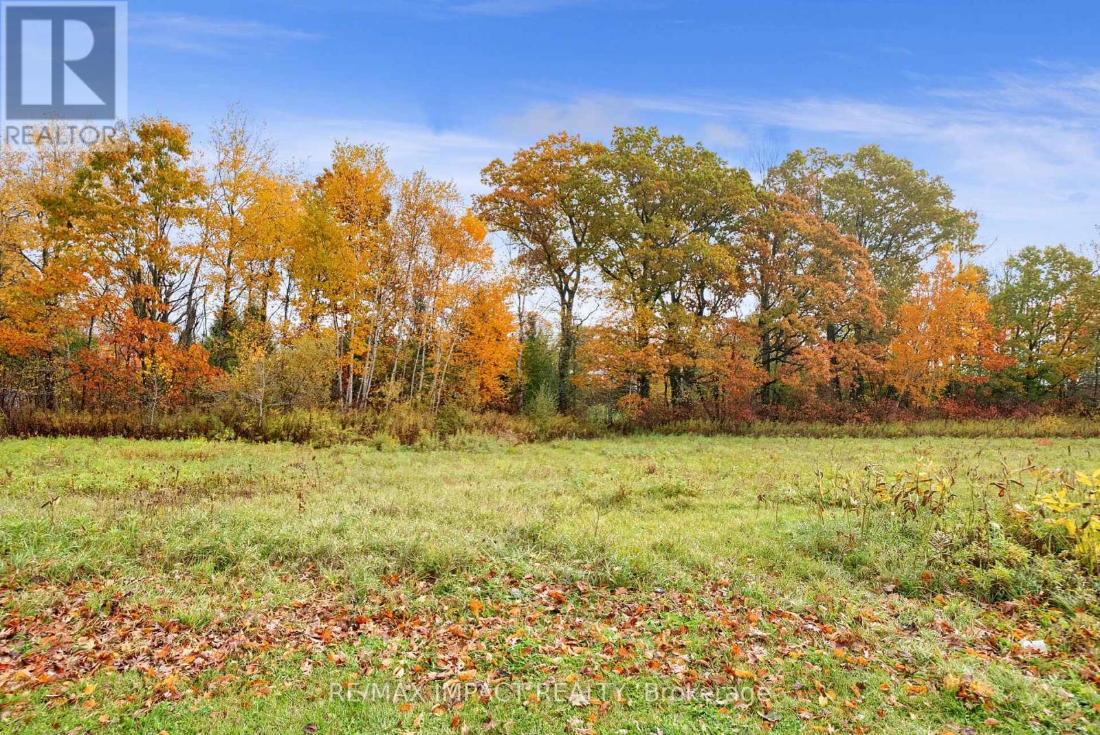 121 Whitehead Road, Alnwick/haldimand, Ontario  K0K 2G0 - Photo 46 - X12809486